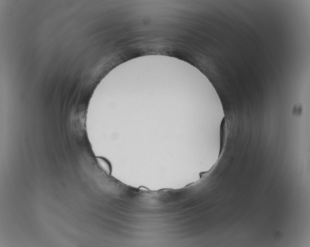 X0000110690190200907021942