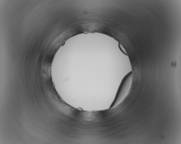 X0000110690191200907021942