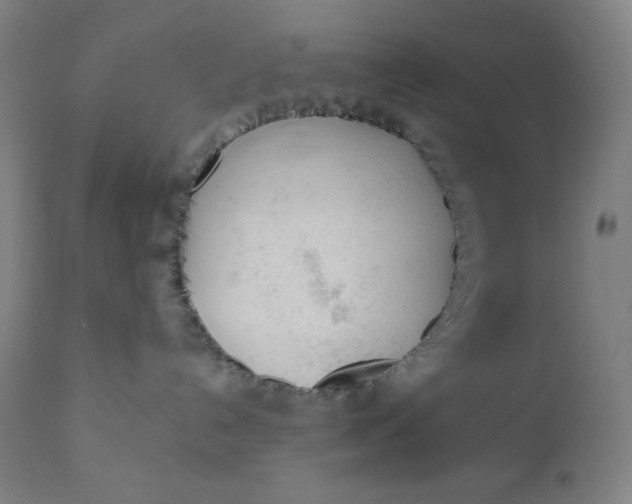 X0000110690192200907021942