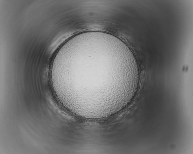 X0000110690194200907021941