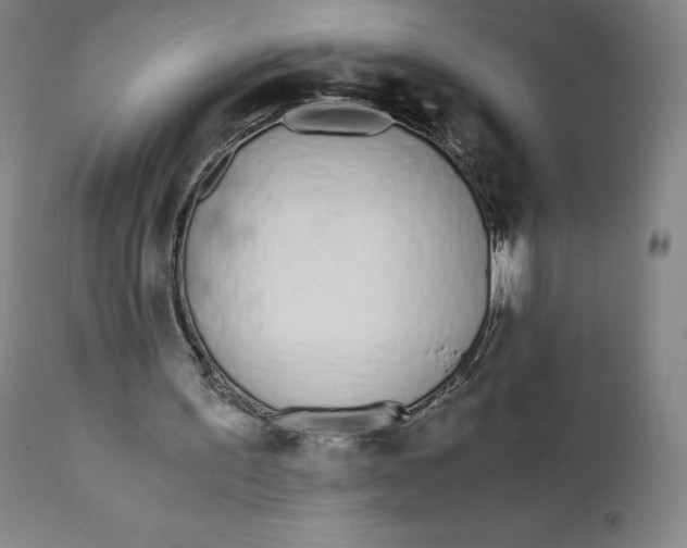 X0000110690195200907021941