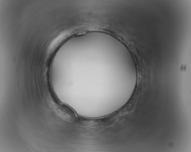 X0000110690197200907021941