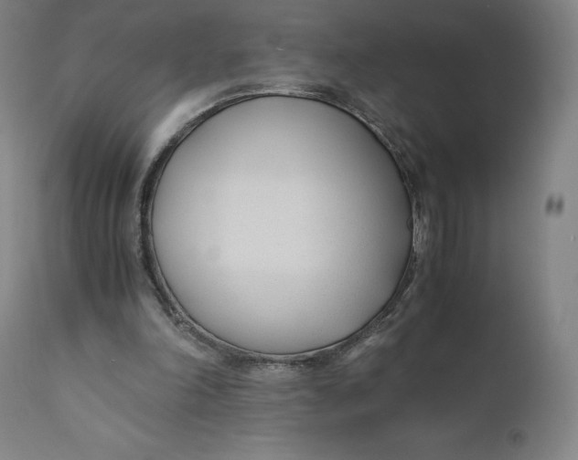 X0000110690198200907021941