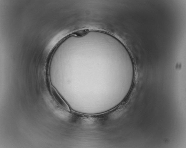 X0000110690199200907021941