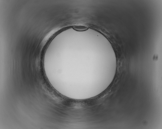 X0000110690200200907021941