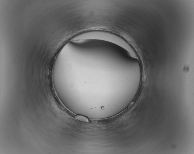 X0000110690201200907021941