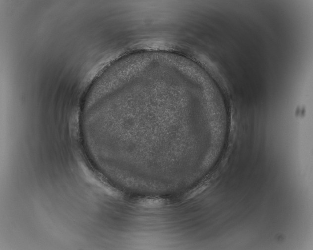 X0000110690202200907021941