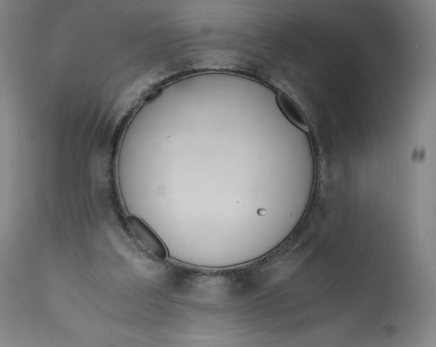 X0000110690203200907021941