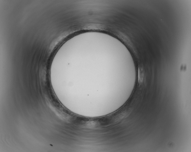 X0000110690204200907021941