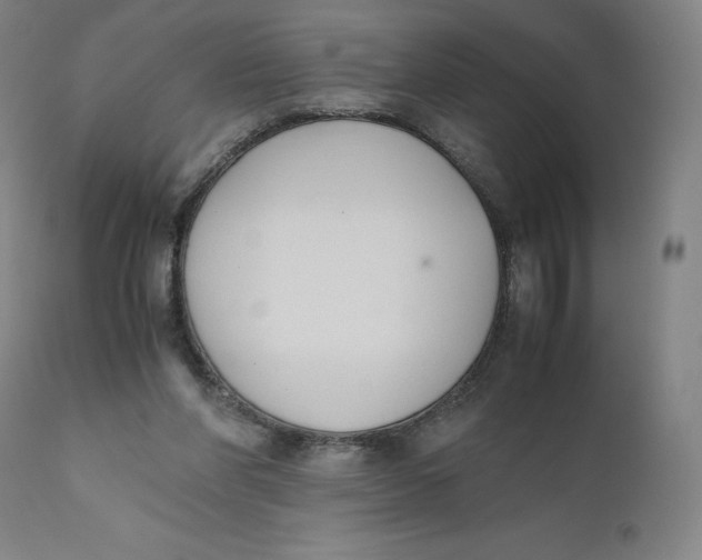 X0000110690206200907021941