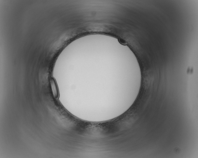 X0000110690207200907021941