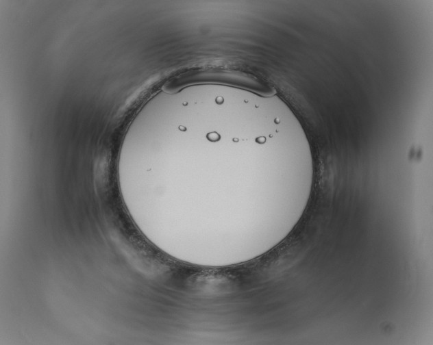 X0000110690208200907021941