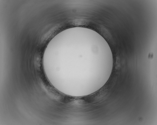 X0000110690210200907021941