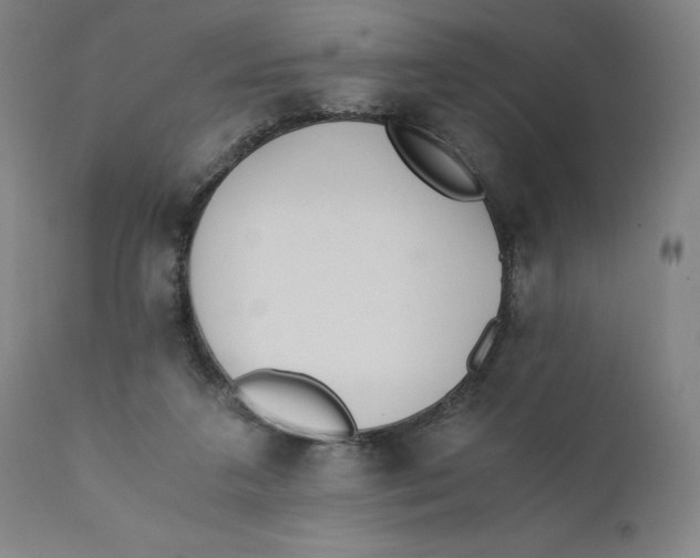 X0000110690211200907021941