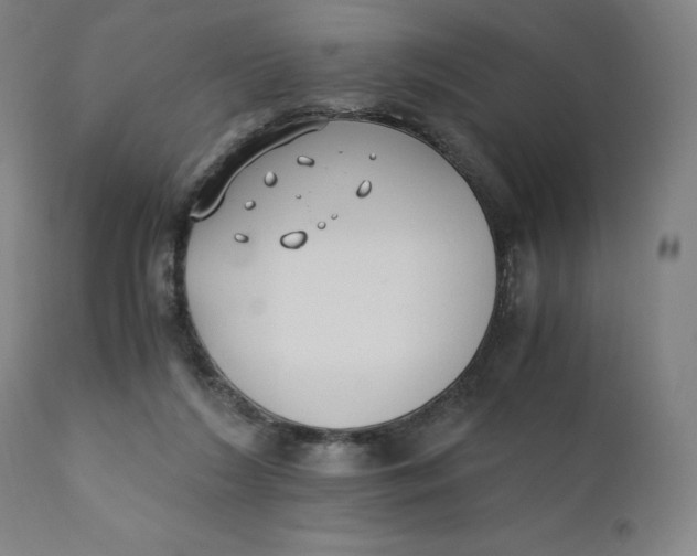 X0000110690212200907021941