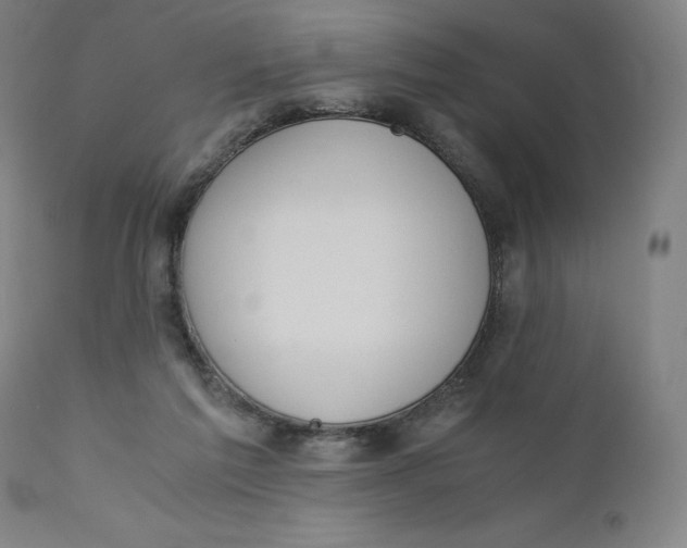 X0000110690213200907021941