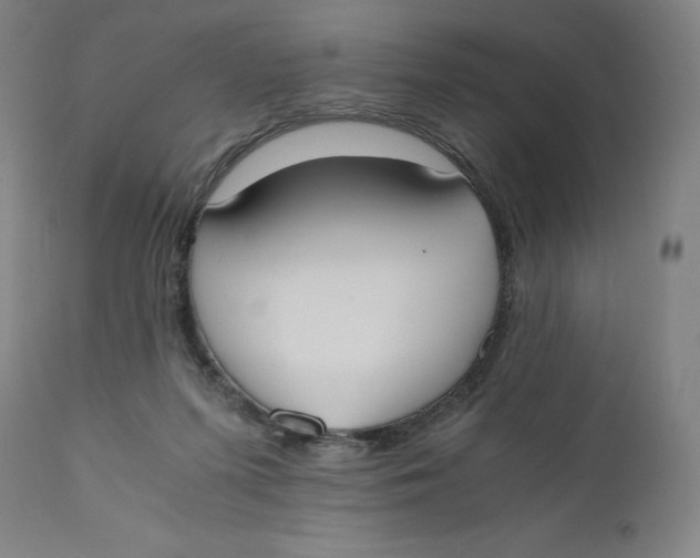 X0000110690215200907021941