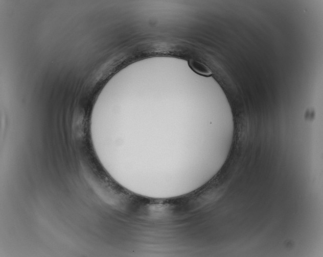 X0000110690216200907021941