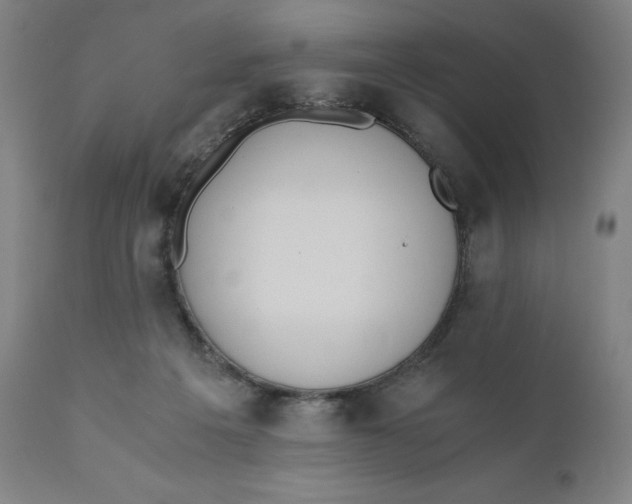 X0000110690217200907021941