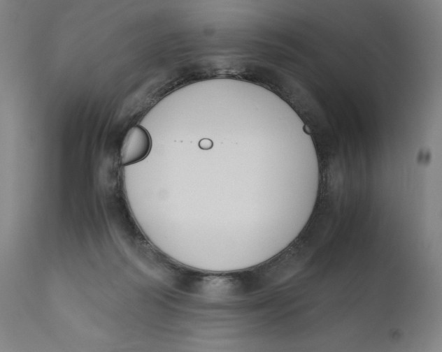 X0000110690218200907021941