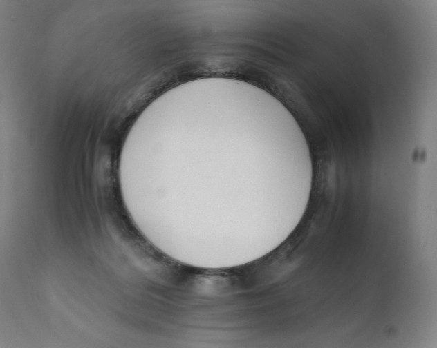 X0000110690220200907021941