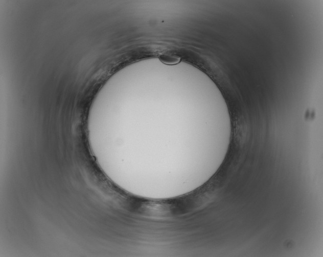 X0000110690221200907021941