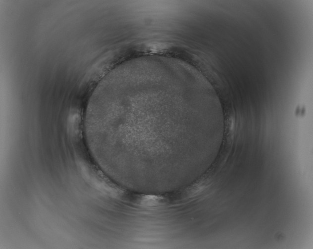 X0000110690222200907021941