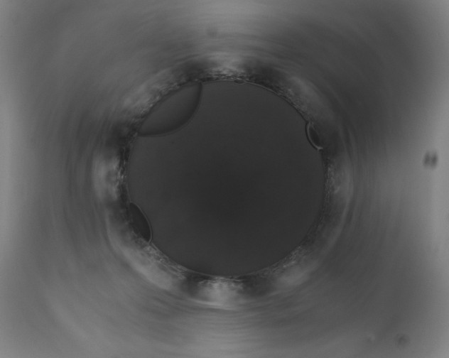 X0000110690223200907021941