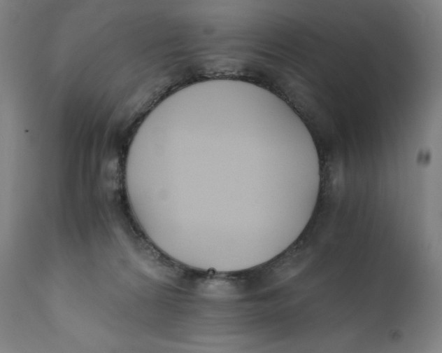 X0000110690224200907021941