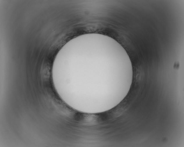 X0000110690226200907021941