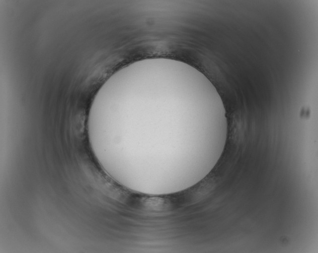 X0000110690230200907021941