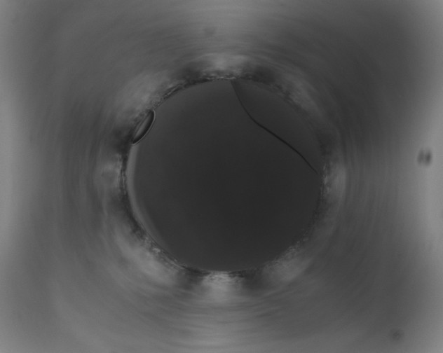 X0000110690231200907021941