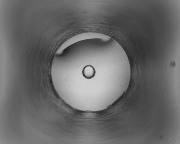 X0000110690233200907021941