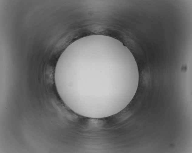 X0000110690234200907021941