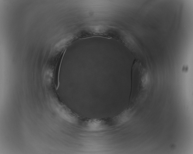 X0000110690235200907021941