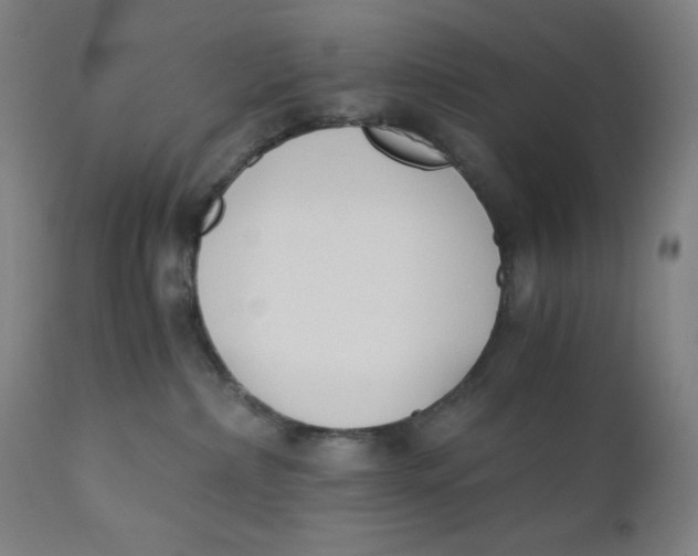 X0000110690236200907021941