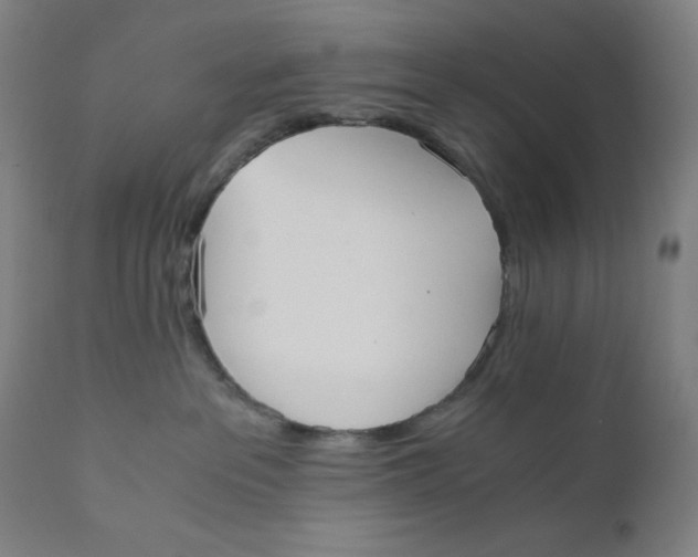 X0000110690237200907021941