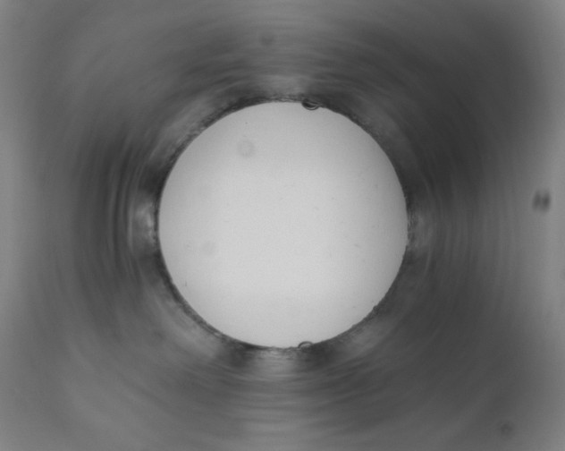 X0000110690238200907021941