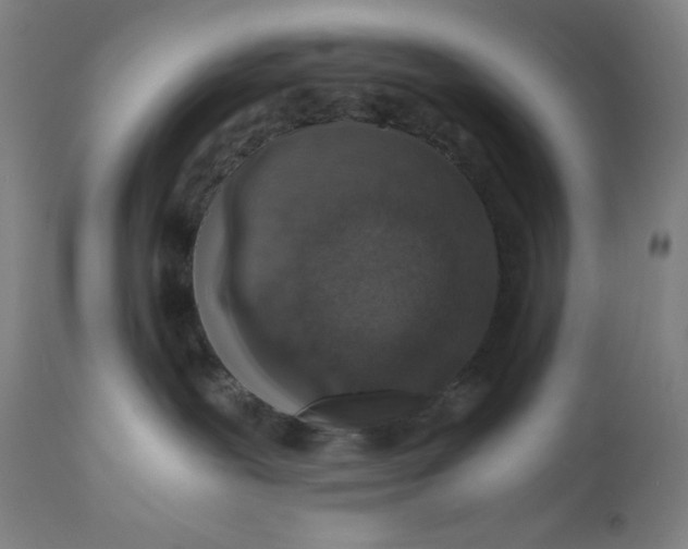 X0000110690239200907021941