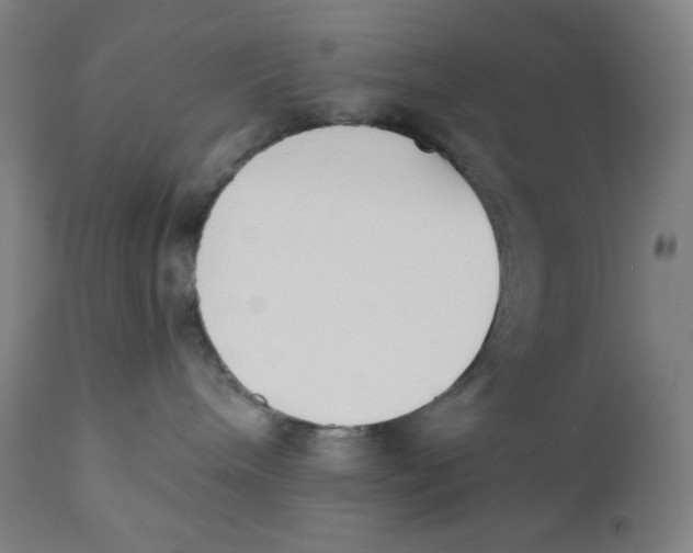 X0000110690240200907021941