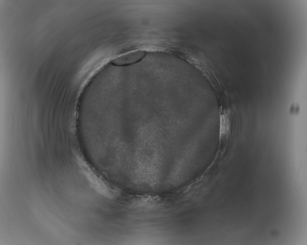 X0000110690243200907021940