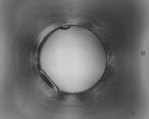 X0000110690244200907021940