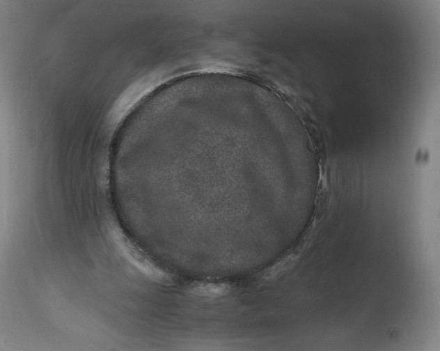 X0000110690247200907021940