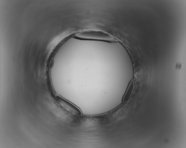 X0000110690248200907021940