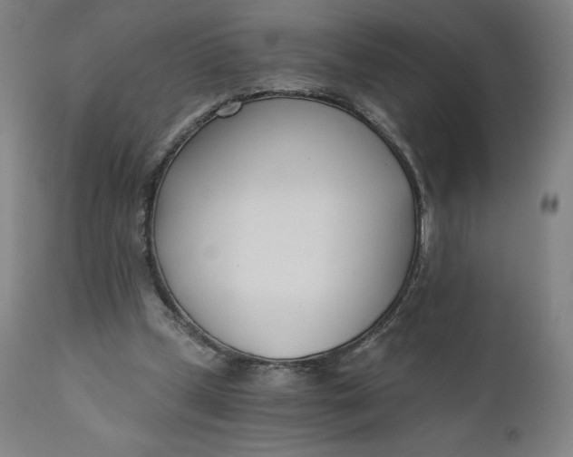 X0000110690249200907021940