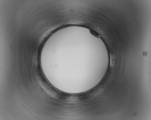 X0000110690252200907021940