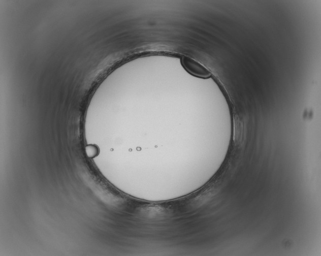 X0000110690253200907021940