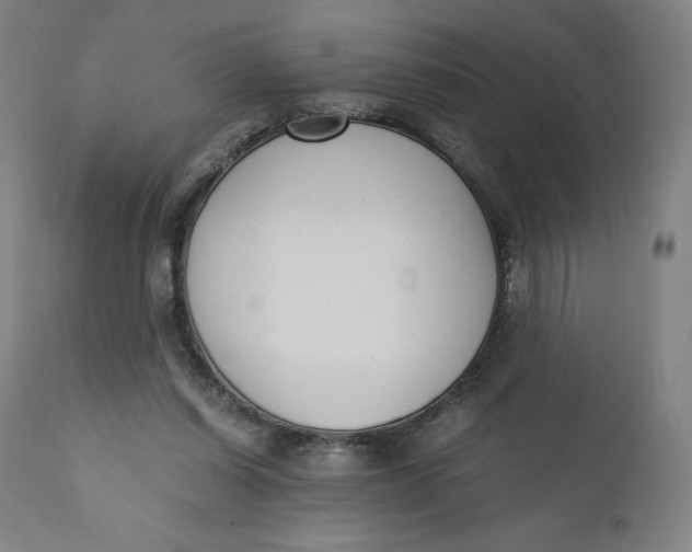 X0000110690254200907021940