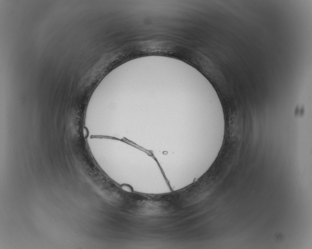 X0000110690255200907021940