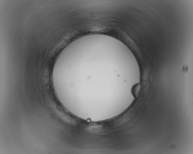 X0000110690257200907021940